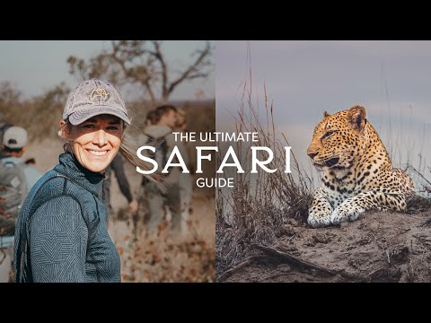 How We Plan & Prepare For A Kruger National Park Safari