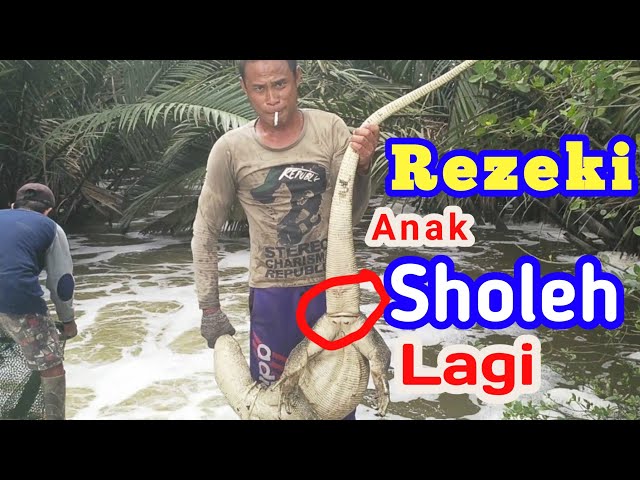 Video Uitspraak van panen in Indonesisch