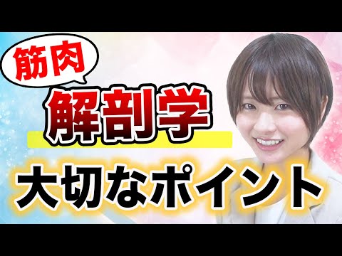 医学科 【解剖学】解剖学の筋肉の勉強の仕方（医療系学生向け）