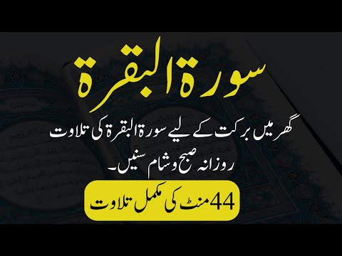 Surah Al-Baqarah Recitation (Full & Quick) | Surah Baqarah Tilawat 44 Minutes | Peaceful Recitation