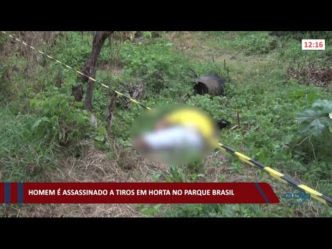 Homem é assassinado a tiros perto de horta no Parque Brasil 29 03 2021