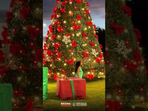 Villa Regina #paisajesargentinos #travel #vistashermosas #turismo #viajes #navidad