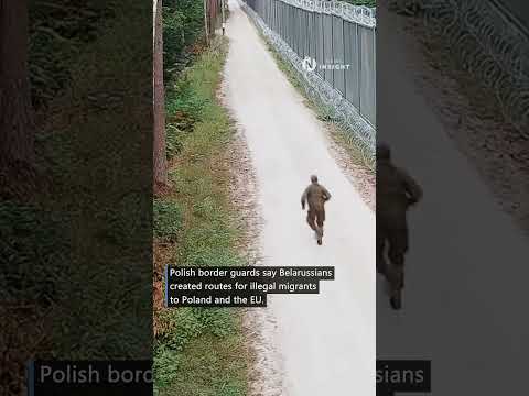 Illegal migrants climb the border wall from Belarus to Poland border guards' video