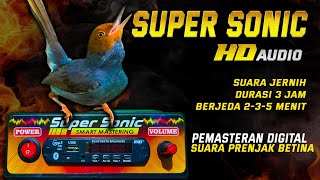 Download lagu JERNIH‼️pemasteran digital suara ringan mencuri perhatian juri mp3