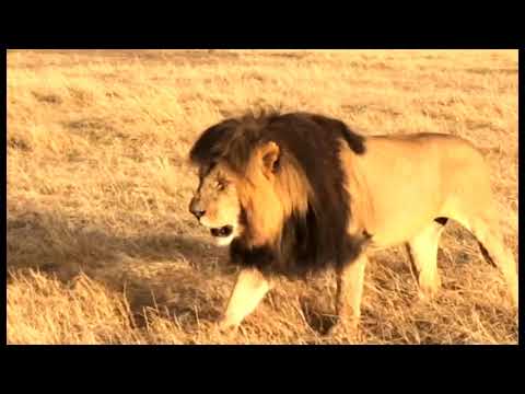 PASTOR SAMMY-AMANI KENYA