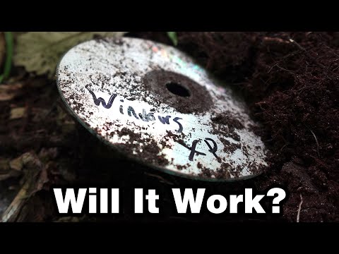 This Disk Has Been Buried For a Year...