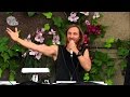 David Guetta Live Tomorrowland 2013