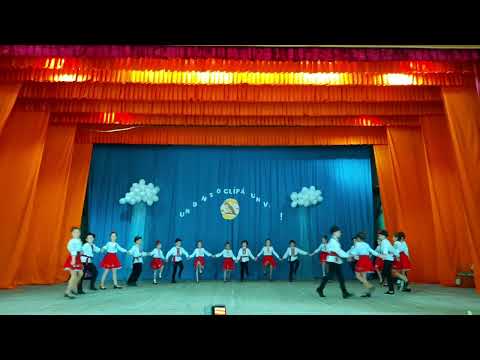 scoala de Arte s.Pelinia