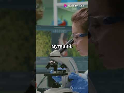 Ученые нашли способ выращивания гигантских овощей #агрономия #сельскоехозяйство #биоинженерия