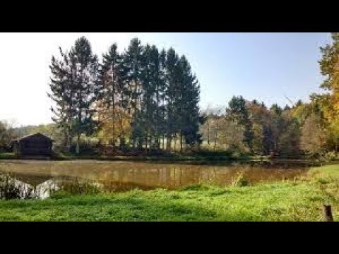 Wanderung Winterbach 13.08.2019