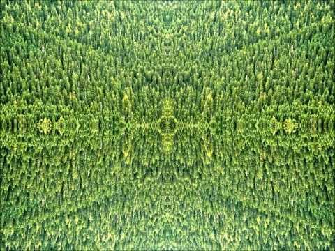 Esion God - Jibberwocky