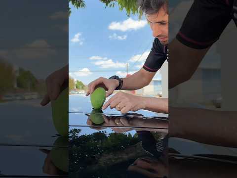 BYD com teto de casca de ovo! Vidro parece ter menos de 2 mm e qualquer objeto pode quebrá-lo!