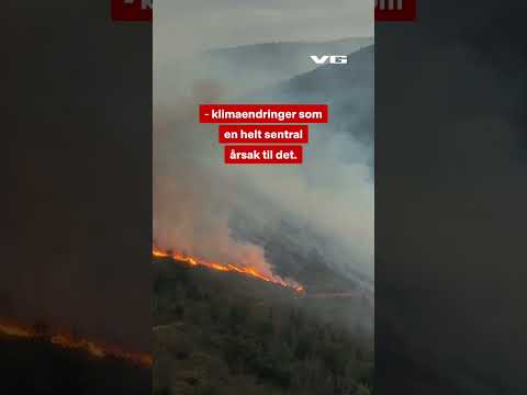 Store skogbranner herjer i Spania. 😮 #vg #nyheter