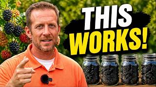 Expert Blackberry Tips: The Work You Need to Do Right Now