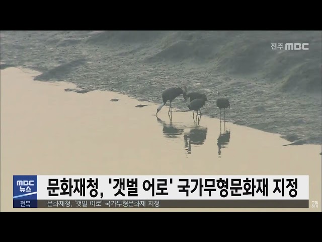 문화재청, '갯벌 어로' 국가무형문화재 지정