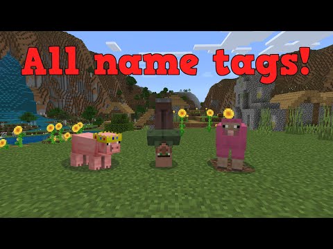The Tutorial Dude - All special name tags in minecraft