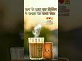 As Subah Ki Shayari Chai Ke Sath ️morning Poetry With Tea Goodmorning Shorts Trending Ytshorts