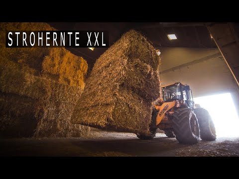 Lohnbetrieb Hilmar Thomßen | Strohernte XXL - Pressen + Abfuhr