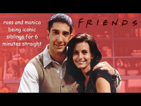 ross and monica being iconic siblings for 6 minutes straight