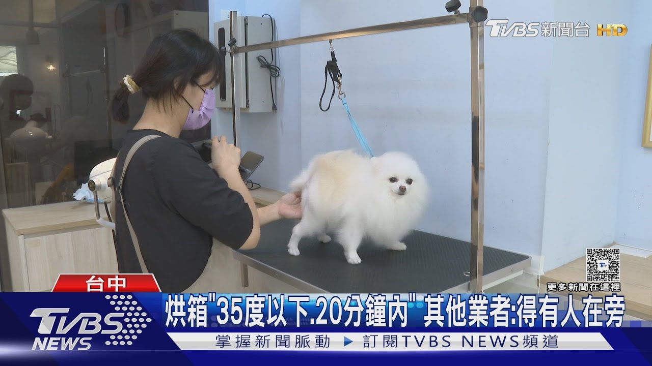 愛貓送洗疑遭「烘」亡! 飼主控連鎖店「烘箱壞」仍照用