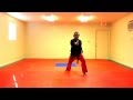 Won-Hyo Tae Kwon Do Form - Slow