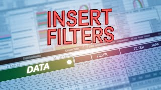 Download the video "How to insert filters to data - Microsft excel"