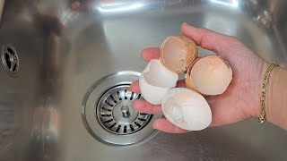 Eggshells Are WORTH GOLD! Here's Why You Shouldn't Throw Them Away !