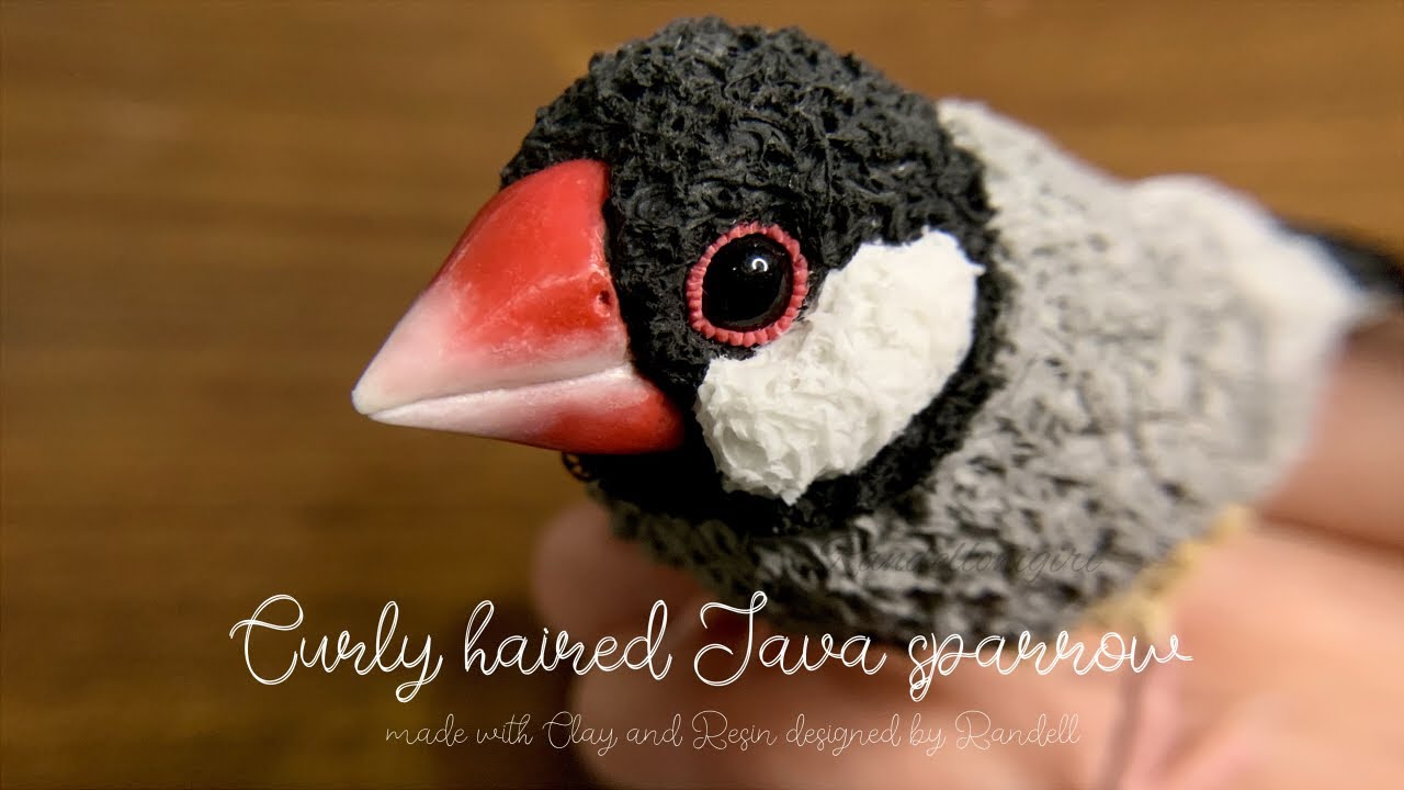 【樹脂粘土・レジン】くるくる巻き毛の文鳥【Clay, Resin】Curly haired Java sparrow | DIY