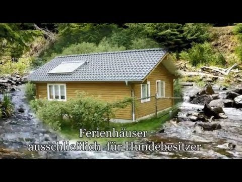 Urlaub mit Hund im Hundeparadies Eifel 1