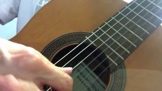 Senhorinha, Guinga (Carlos Althier de Souza Lemos Escobar)