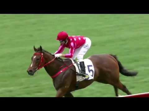 Horse Sense 2017 EP#6