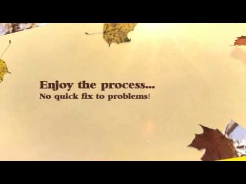 Conceptual Framework Video