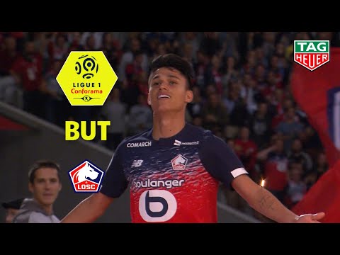 But Luiz ARAUJO (53') / LOSC - Angers SCO (2-1)  (LOSC-SCO)/ 2019-20