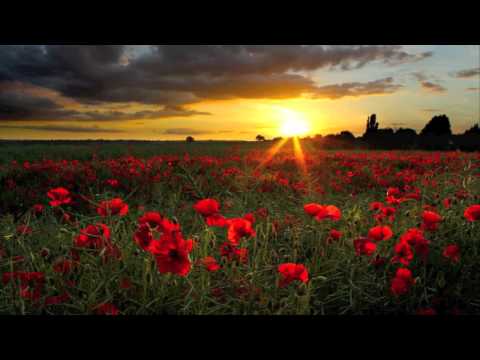 Cruachan-Ride On (ft. Shane McGowan)