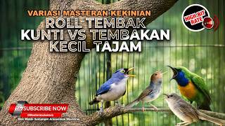 Download lagu đź”´ Live Masteran Terbaik Murai Batu 2026 Cucak Cungkok Gacor Kenari Sejalur Nembak RPM Gacor Prenjak mp3 Download lagu đź”´ Live Masteran Terbaik Murai Batu 2026 Cucak Cungkok Gacor Kenari Sejalur Nembak RPM Gacor Prenjak mp3
