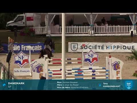 CIR SHF 2018 - CSO Saint Lô 5 ans - Danemark