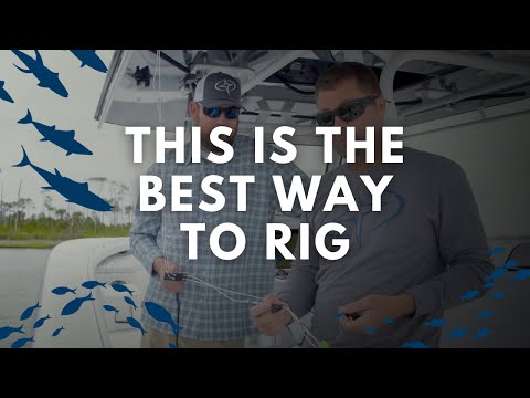 How to rig you...