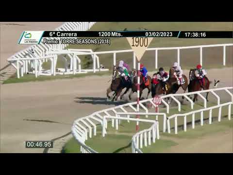 230203 c06 - DELFINITA - HIPODROMO LAS PIEDRAS