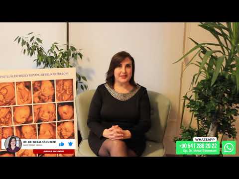 6. Hafta Gebelik - Gebe Takibi / Op. Dr. Meral Sönmezer