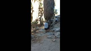 Indian Canyon 9
