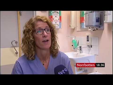 Nyheter Norrbotten - 31 augusti 2016