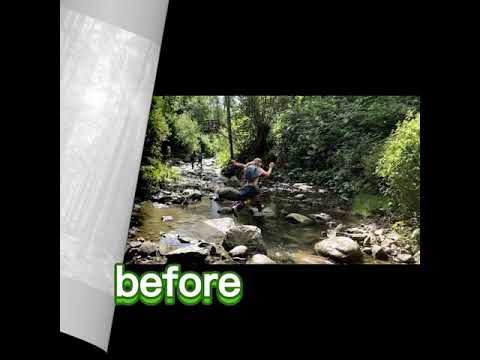 save our environment