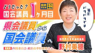 【国民民主党 野村美穂】国会議員生活1ヶ月目。県会議員との違い。慣れない国会のスケジュール感。毎日バタバタだったこの1ヶ月を振り返ります！