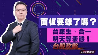 面板要雄了嗎？台康生、合一 明天等表態！ (圖)