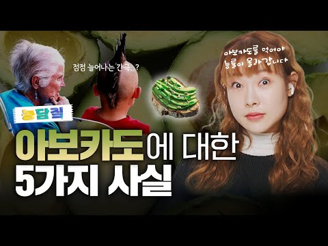 아보카도, 당신이 몰랐던 5가지 사실|농담짚