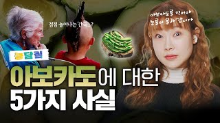 아보카도, 당신이 몰랐던 5가지 사실|농담짚