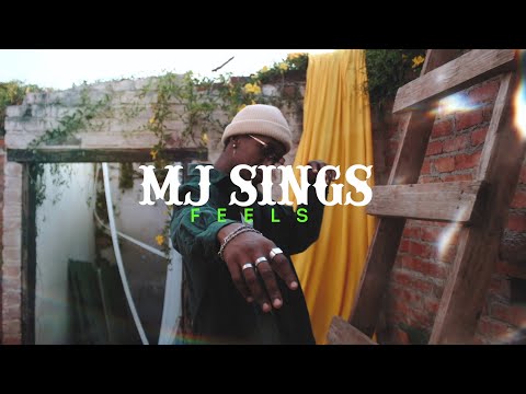 MJ Sings ft. Murphy Cubic - Feels (Visualiser)