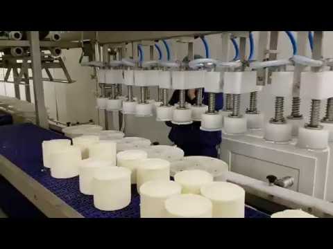 démouleuse automatique tomette x24