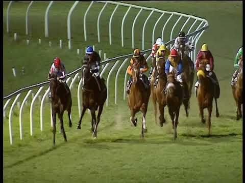 Galoppo 05/03/2019 - 5ª corsa