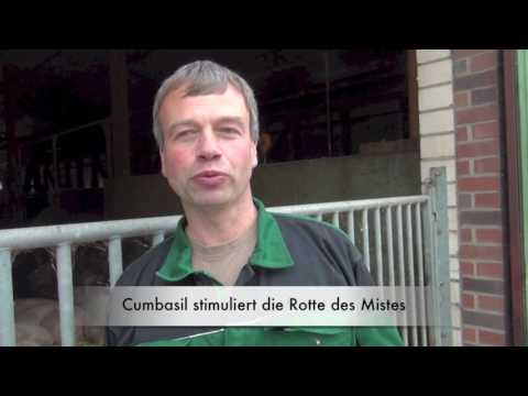 Cumbasil im Betrieb Schulte Everding